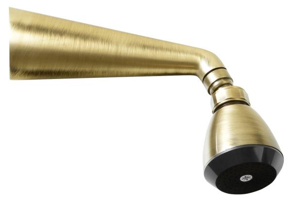 Nástěnná sprcha s otočným kloubem, bronz (9046)