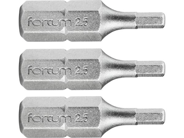 FORTUM 4741503 - hrot imbus sada 3ks, H 2,5x25mm, S2
