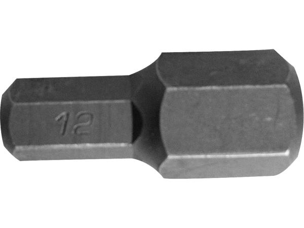 EXTOL PREMIUM 6525-H12 - hrot imbus H12x30mm, stopka 8mm (5/16")